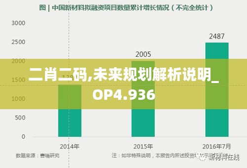 二肖二码,未来规划解析说明_OP4.936