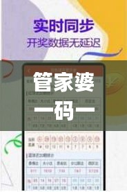 管家婆一码一肖100准343期,高效实施方法解析_GM版6.774