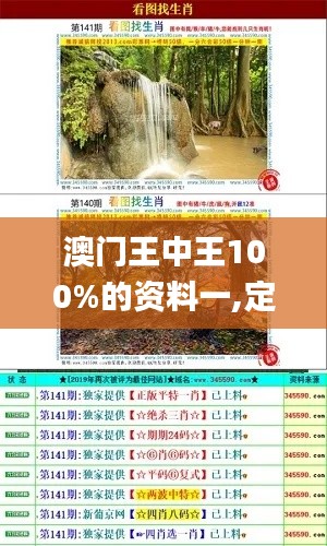 澳门王中王100%的资料一,定量解答解释定义_户外版11.553