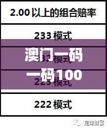 澳门一码一码100准确张子慧,统计分析解释定义_黄金版16.374