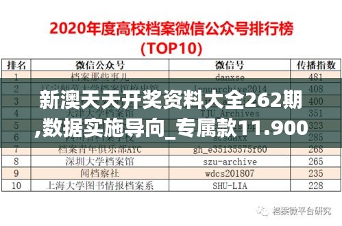 新澳天天开奖资料大全262期,数据实施导向_专属款11.900