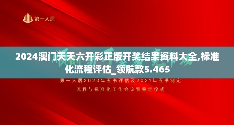 2024澳门天天六开彩正版开奖结果资料大全,标准化流程评估_领航款5.465