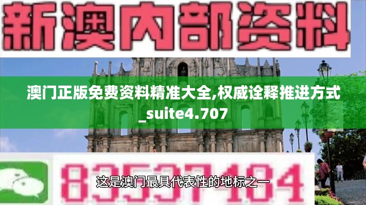 澳门正版免费资料精准大全,权威诠释推进方式_suite4.707