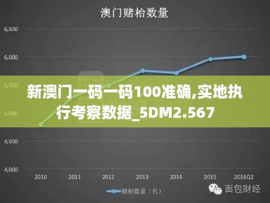 新澳门一码一码100准确,实地执行考察数据_5DM2.567