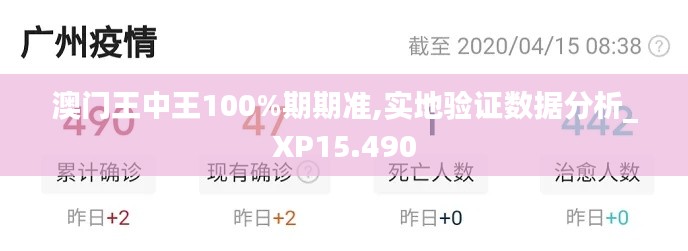 澳门王中王100%期期准,实地验证数据分析_XP15.490