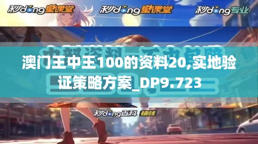 澳门王中王100的资料20,实地验证策略方案_DP9.723