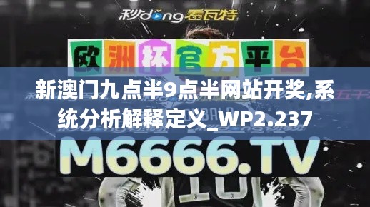 新澳门九点半9点半网站开奖,系统分析解释定义_WP2.237