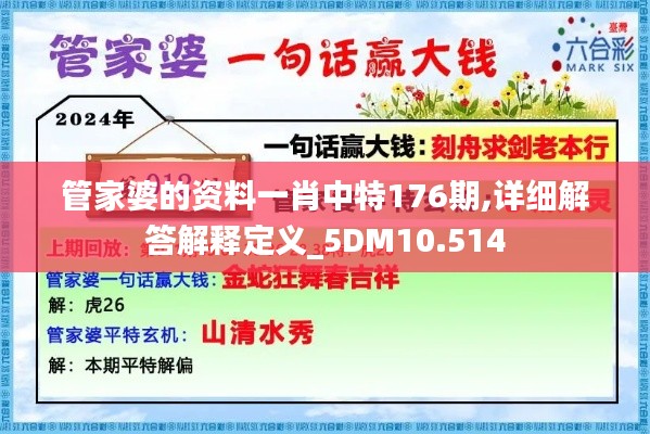 管家婆的资料一肖中特176期,详细解答解释定义_5DM10.514