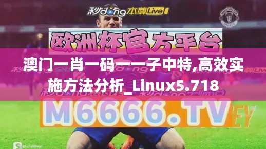 澳门一肖一码一一子中特,高效实施方法分析_Linux5.718