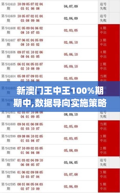 新澳门王中王100%期期中,数据导向实施策略_S8.129