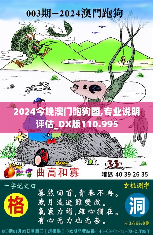 2024今晚澳门跑狗图,专业说明评估_DX版110.995