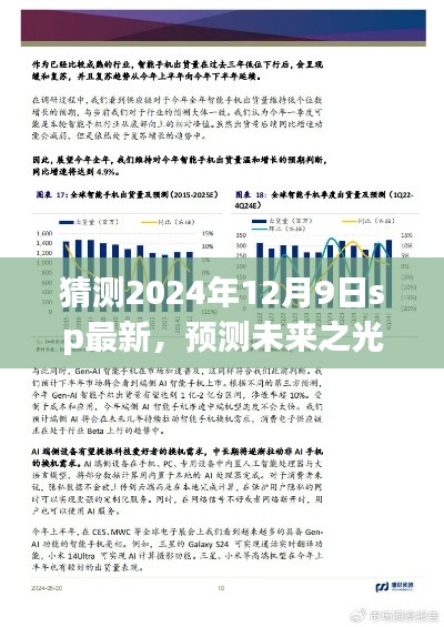 未来之光解析，2024年12月9日SP最新趋势观点碰撞与个人立场展望