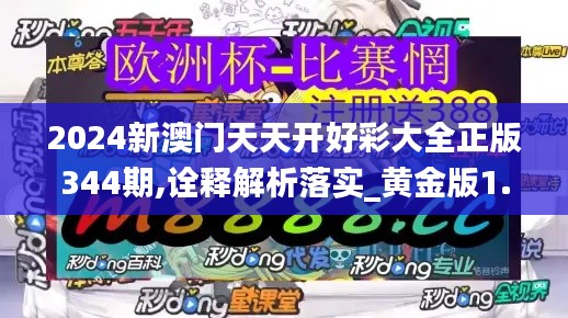 2024新澳门天天开好彩大全正版344期,诠释解析落实_黄金版1.219