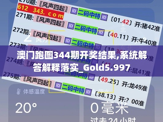 澳门跑图344期开奖结果,系统解答解释落实_Gold5.997