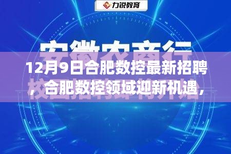 12月9日合肥数控最新招聘，合肥数控领域迎新机遇，12月9日招聘活动深度剖析