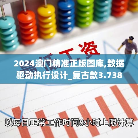 2024澳门精准正版图库,数据驱动执行设计_复古款3.738