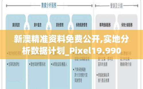 新澳精准资料免费公开,实地分析数据计划_Pixel19.990