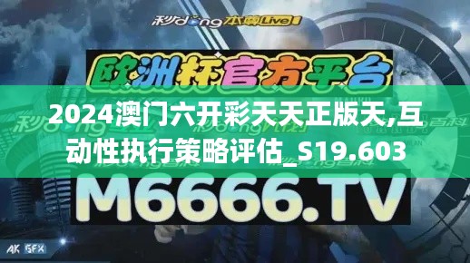 2024澳门六开彩天天正版天,互动性执行策略评估_S19.603