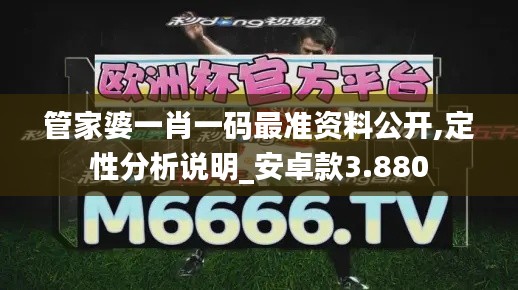 管家婆一肖一码最准资料公开,定性分析说明_安卓款3.880