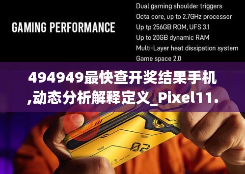 494949最快查开奖结果手机,动态分析解释定义_Pixel11.379