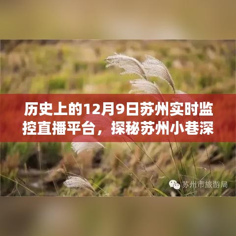 探秘苏州小巷深处的直播秘境，遇见时光直播屋——历史上的苏州实时监控直播平台回顾（12月9日）