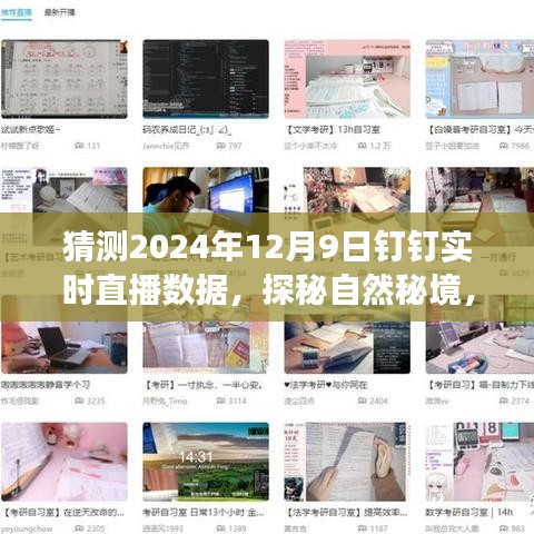 探秘自然秘境，启程2024年12月9日钉钉直播之旅