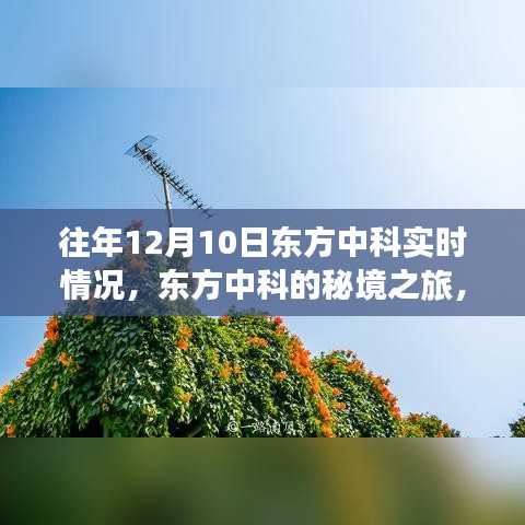 往年12月10日东方中科的秘境之旅，心灵港湾的探寻