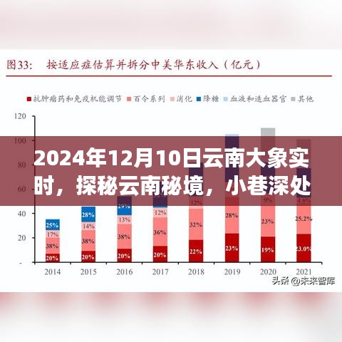 探秘云南大象秘境，实时记录小巷深处的大象店之旅