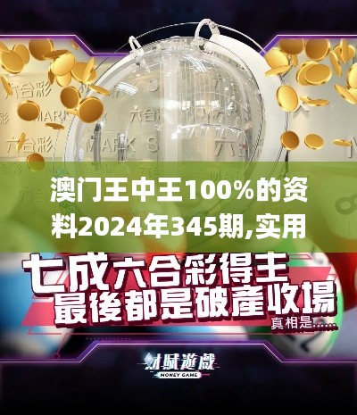 澳门王中王100%的资料2024年345期,实用性执行策略讲解_进阶版18.695