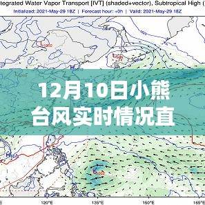 小熊台风最新动态，直播报道深度分析台风实时情况（直播时间，12月10日）