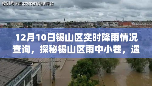 锡山区降雨实况与雨中小巷探秘，遇见独特韵味