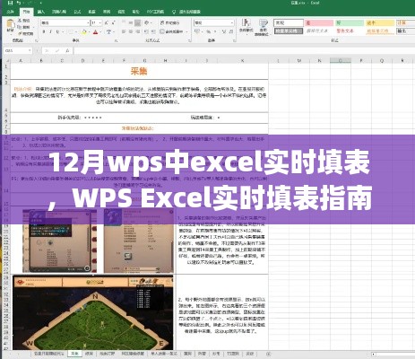 WPS Excel实时填表指南，从初学者到进阶用户的实用指南