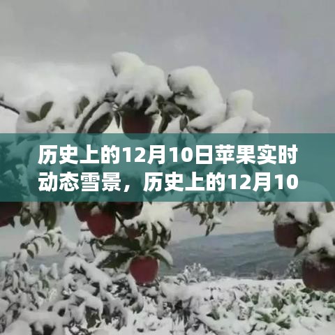 历史上的12月10日，苹果雪景下的励志与自信成就之光