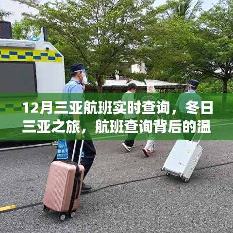 航班背后的温情故事，三亚航班实时查询与冬日之旅