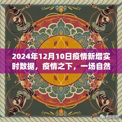 疫情之下，阳光数据下的自然美景治愈之旅，2024年12月10日疫情新增实时数据报告