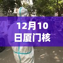 12月10日厦门核酸检测结果实时查询指南，初学者与进阶用户适用