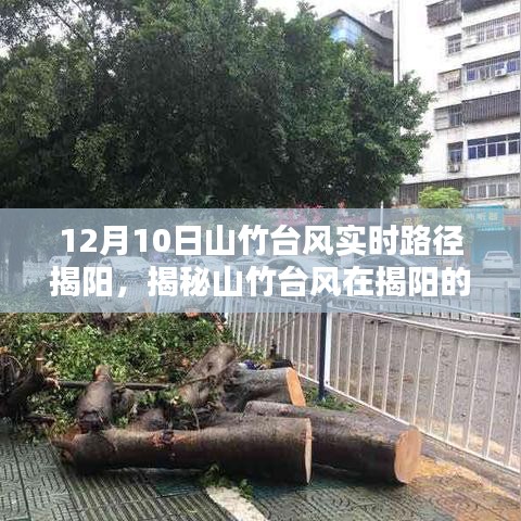 揭秘山竹台风在揭阳的真实路径，实时追踪与深度解析报告发布