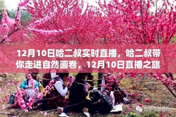 哈二叔带你走进自然画卷，寻找内心的桃花源直播之旅 12月10日实时直播纪实