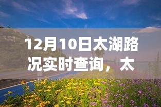 太湖路况实时掌握，励志之路，学习变化，自信成就之路