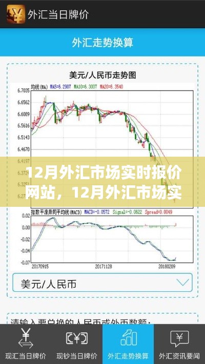 12月外汇市场实时报价网站使用指南，从入门到进阶的全面攻略