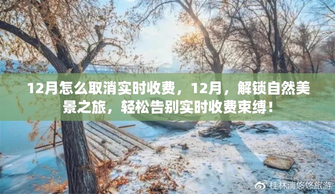 12月取消实时收费指南，解锁自然美景之旅，畅享无忧