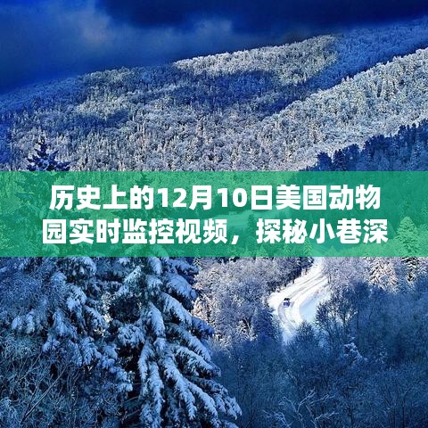 探秘美国动物园奇缘，实时时光下的神秘动物世界（12月10日监控视频记录）