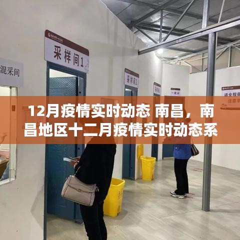 南昌地区十二月疫情实时动态系统评测报告与最新动态分析