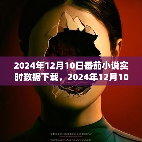 2024年12月10日番茄小说实时数据下载报告，洞悉行业趋势，探索未来发展之路