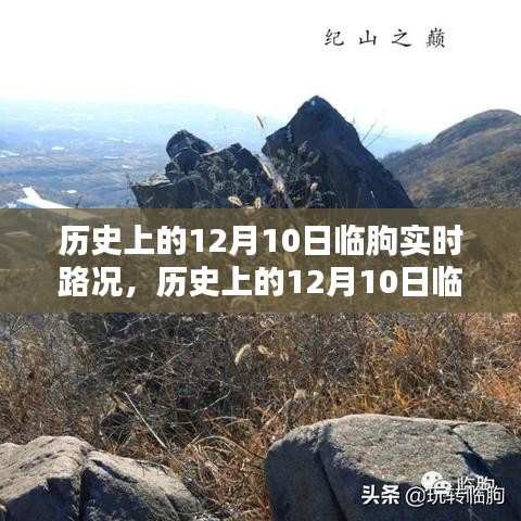 历史上的临朐实时路况回顾，智能导航引领未来出行新纪元