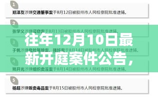 往年12月10日开庭案件公告深度解析与法律思辨探讨