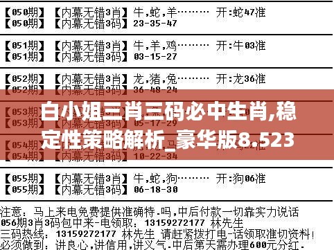 白小姐三肖三码必中生肖,稳定性策略解析_豪华版8.523