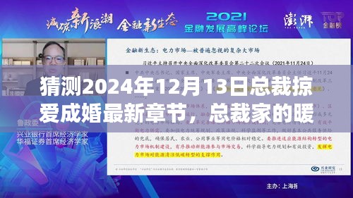 总裁掠爱成婚，暖心日常与爱的力量最新章节猜测 2024年总裁家的温馨时光