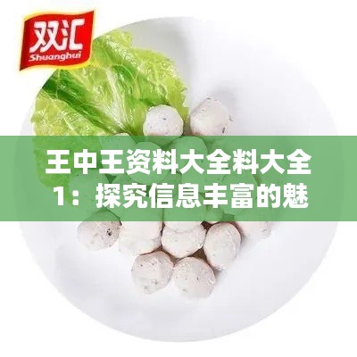 王中王资料大全料大全1：探究信息丰富的魅力之所在