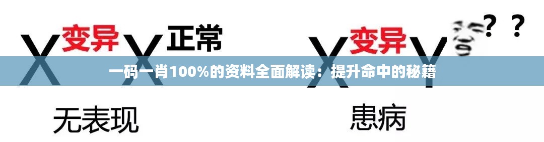 一码一肖100%的资料全面解读：提升命中的秘籍